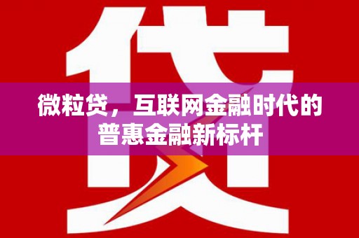 隆回微粒贷，互联网金融时代的普惠金融新标杆