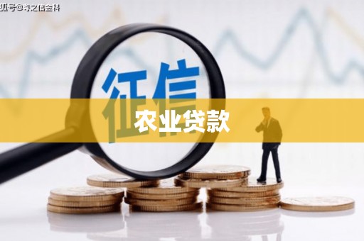 麻江农业贷款