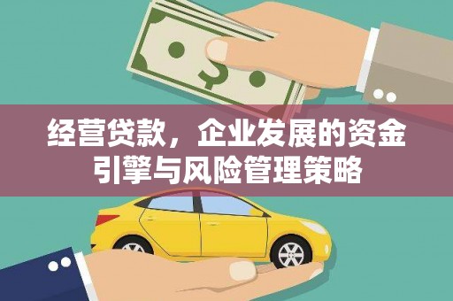 岱山经营贷款，企业发展的资金引擎与风险管理策略