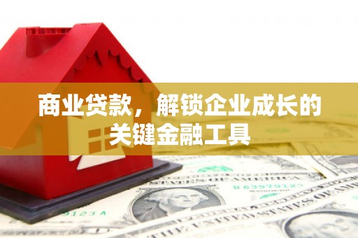 浪卡子商业贷款，解锁企业成长的关键金融工具