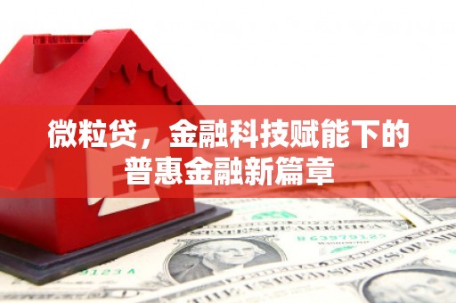 潍城微粒贷，金融科技赋能下的普惠金融新篇章