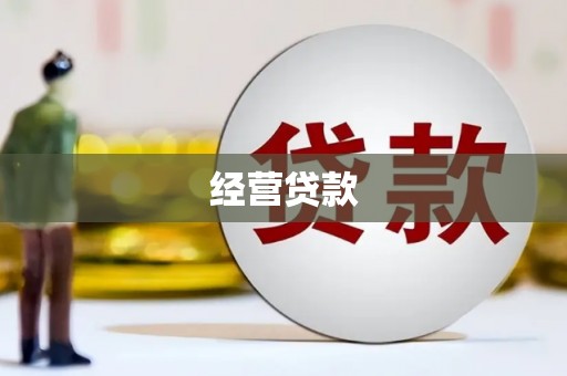 勉县经营贷款
