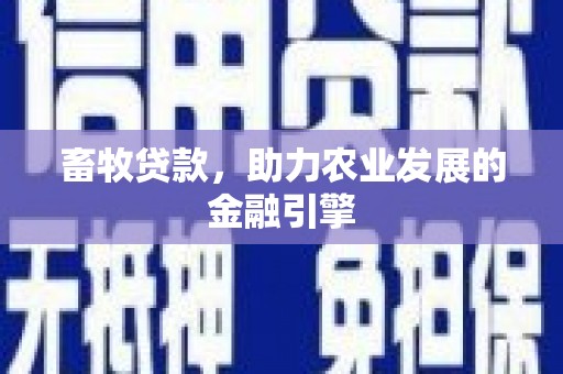 丰县畜牧贷款，助力农业发展的金融引擎