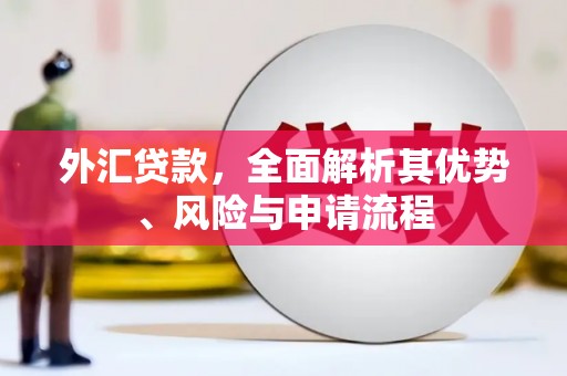 莱西外汇贷款，全面解析其优势、风险与申请流程