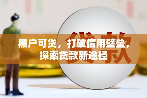 民丰黑户可贷，打破信用壁垒，探索贷款新途径