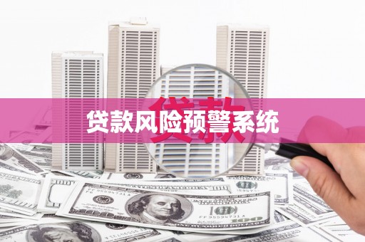 小金贷款风险预警系统