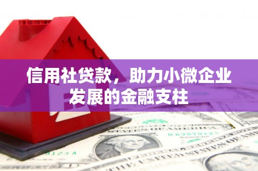 白山信用社贷款，助力小微企业发展的金融支柱