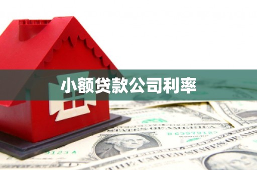 双城小额贷款公司利率