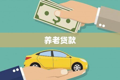 望奎养老贷款