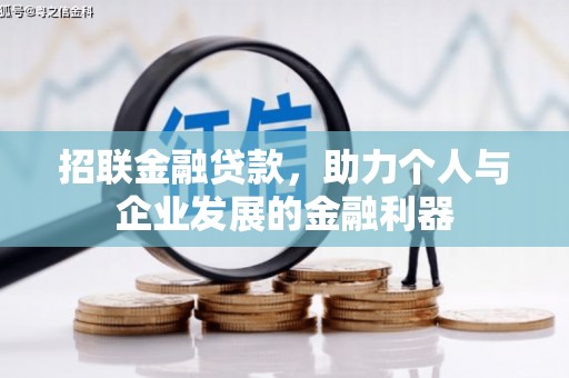 施甸招联金融贷款，助力个人与企业发展的金融利器