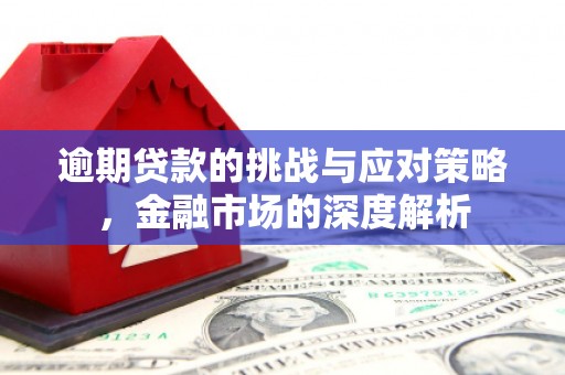 丰城逾期贷款的挑战与应对策略，金融市场的深度解析