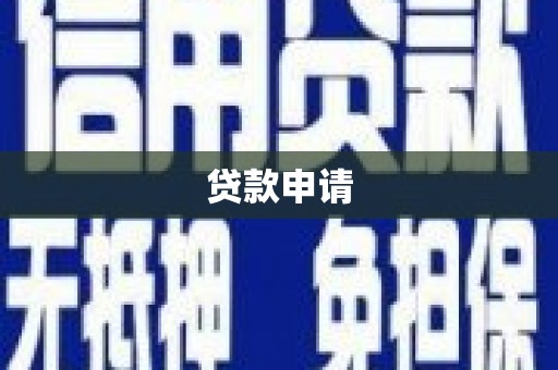 玉树贷款申请