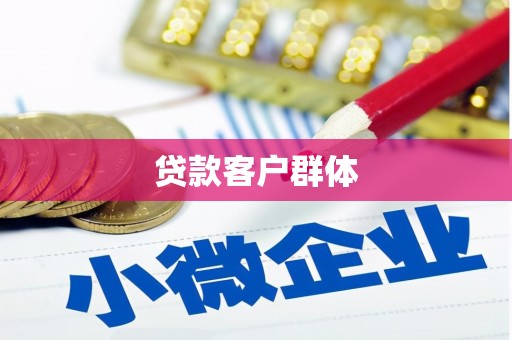 苍南贷款客户群体