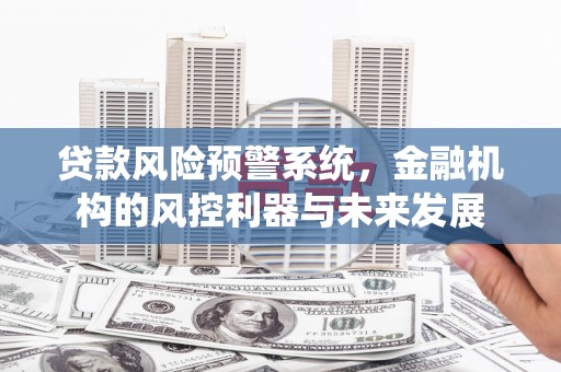 扶余贷款风险预警系统，金融机构的风控利器与未来发展