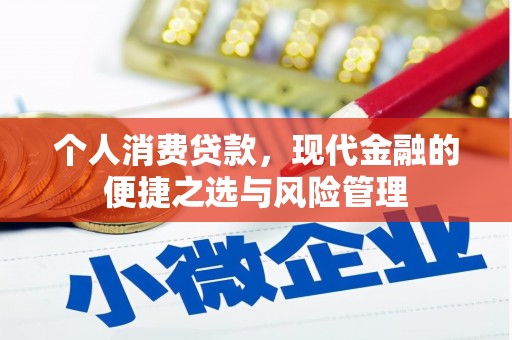 金峰个人消费贷款，现代金融的便捷之选与风险管理