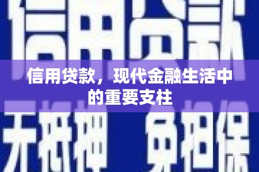 上林信用贷款，现代金融生活中的重要支柱