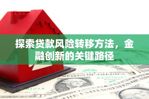 西林探索贷款风险转移方法，金融创新的关键路径