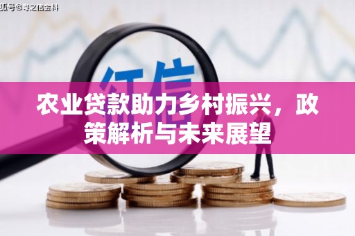 苑里农业贷款助力乡村振兴，政策解析与未来展望