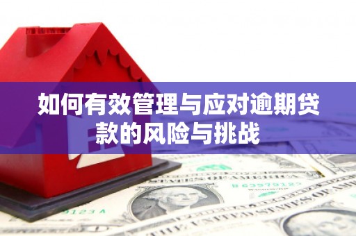 阿里山如何有效管理与应对逾期贷款的风险与挑战