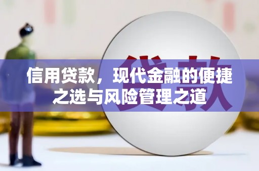 徐汇信用贷款，现代金融的便捷之选与风险管理之道