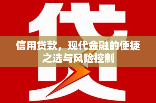 普格信用贷款，现代金融的便捷之选与风险控制