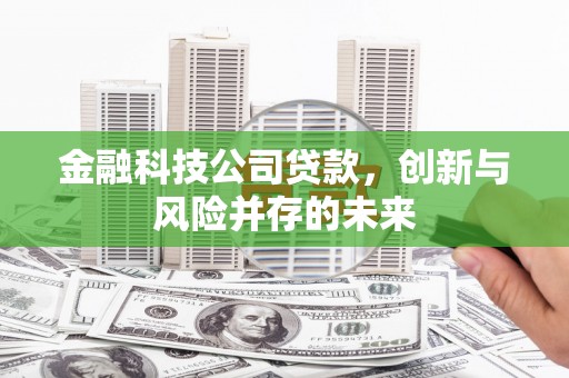 贞丰金融科技公司贷款，创新与风险并存的未来