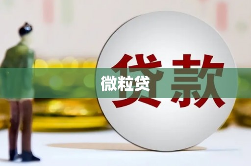 代县微粒贷
