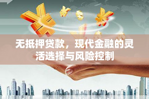 奎文无抵押贷款，现代金融的灵活选择与风险控制