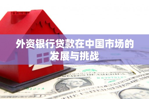 横县外资银行贷款在中国市场的发展与挑战