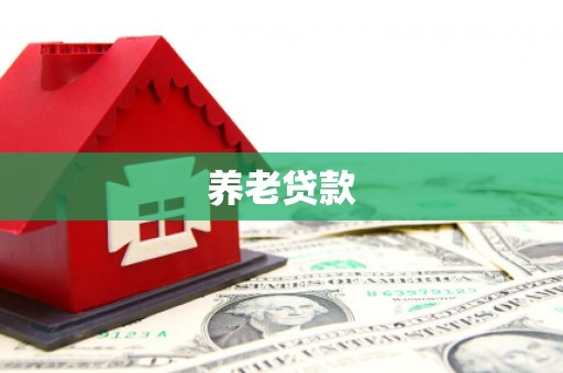 新河养老贷款