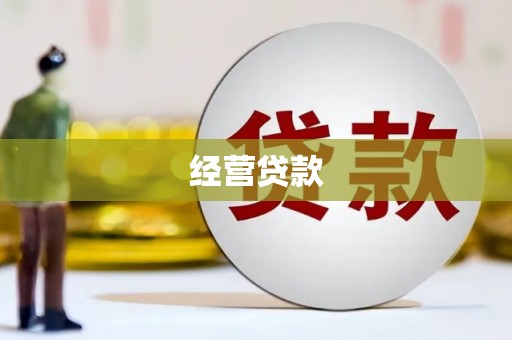 夏县经营贷款