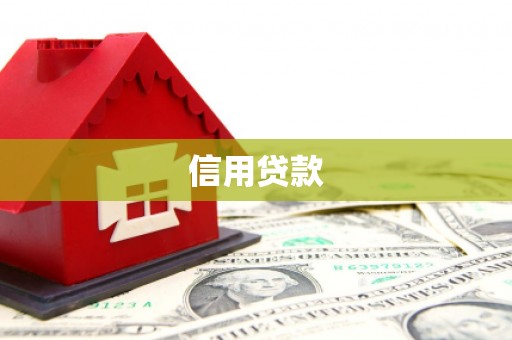 昭阳信用贷款