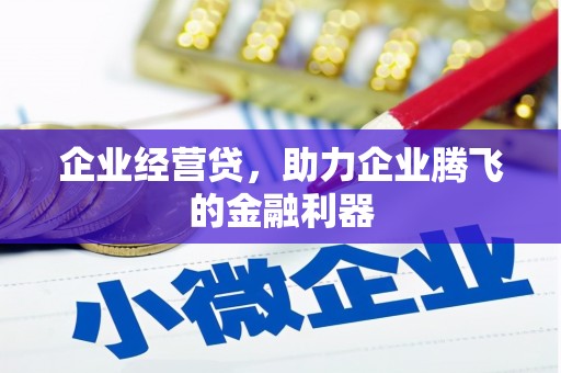 卢龙企业经营贷，助力企业腾飞的金融利器