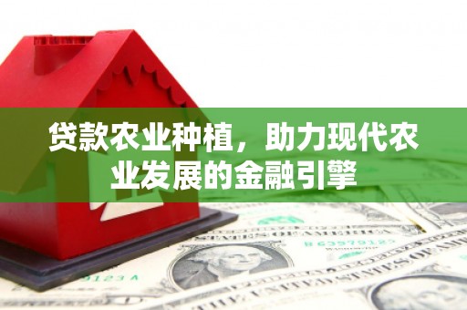 新园贷款农业种植，助力现代农业发展的金融引擎