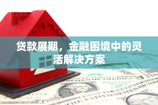 宜君贷款展期，金融困境中的灵活解决方案