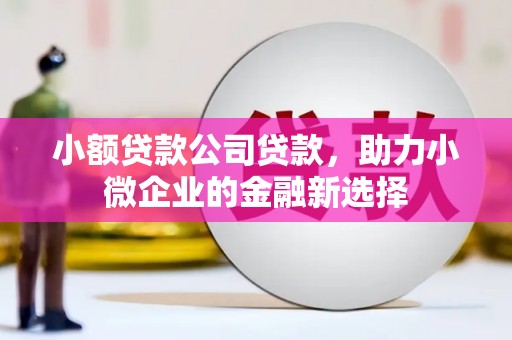 白银小额贷款公司贷款，助力小微企业的金融新选择