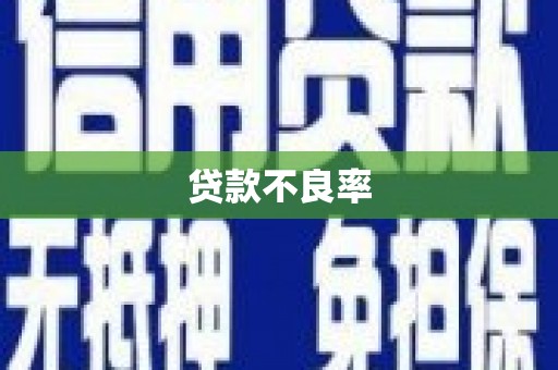 花莲贷款不良率