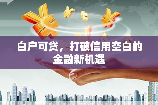 静宁白户可贷，打破信用空白的金融新机遇