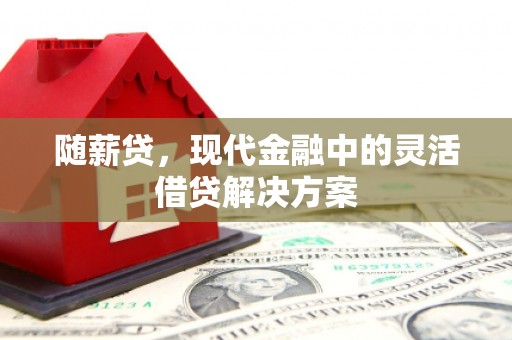 巍山随薪贷，现代金融中的灵活借贷解决方案