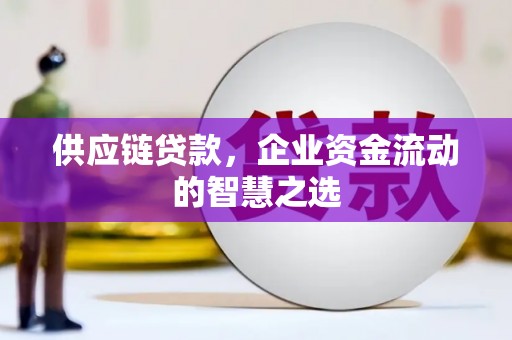 韶关供应链贷款，企业资金流动的智慧之选