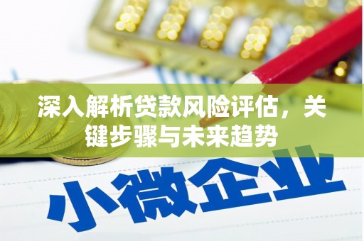 林甸深入解析贷款风险评估，关键步骤与未来趋势