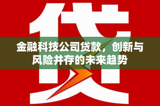 神农架金融科技公司贷款，创新与风险并存的未来趋势