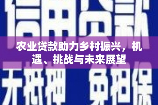 和平农业贷款助力乡村振兴，机遇、挑战与未来展望