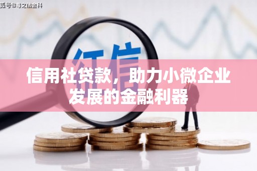 新泰信用社贷款，助力小微企业发展的金融利器