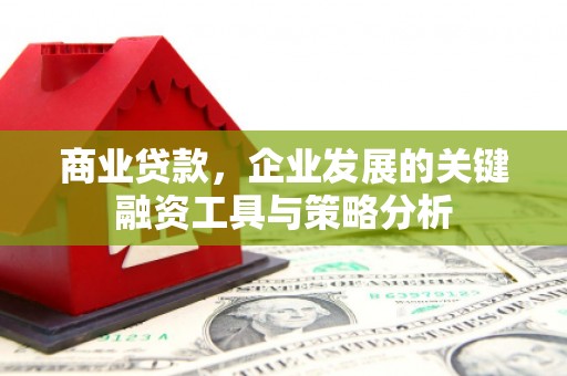 横山商业贷款，企业发展的关键融资工具与策略分析
