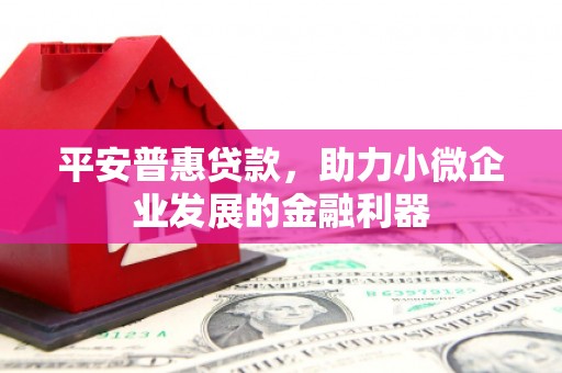 狮子平安普惠贷款，助力小微企业发展的金融利器