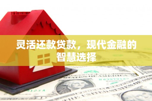 友谊灵活还款贷款，现代金融的智慧选择