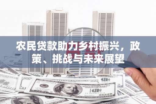 大武农民贷款助力乡村振兴，政策、挑战与未来展望
