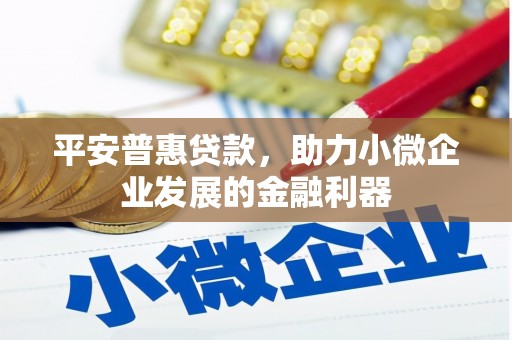 双台子平安普惠贷款，助力小微企业发展的金融利器