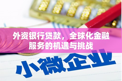 乌恰外资银行贷款，全球化金融服务的机遇与挑战